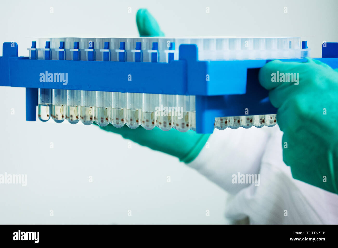 Cropped image of scientist holding test tube rack at laboratory Stock Photo