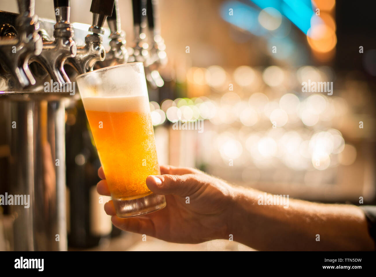 Cropped hand of bartender filling beer from tap at bar Stock Photo