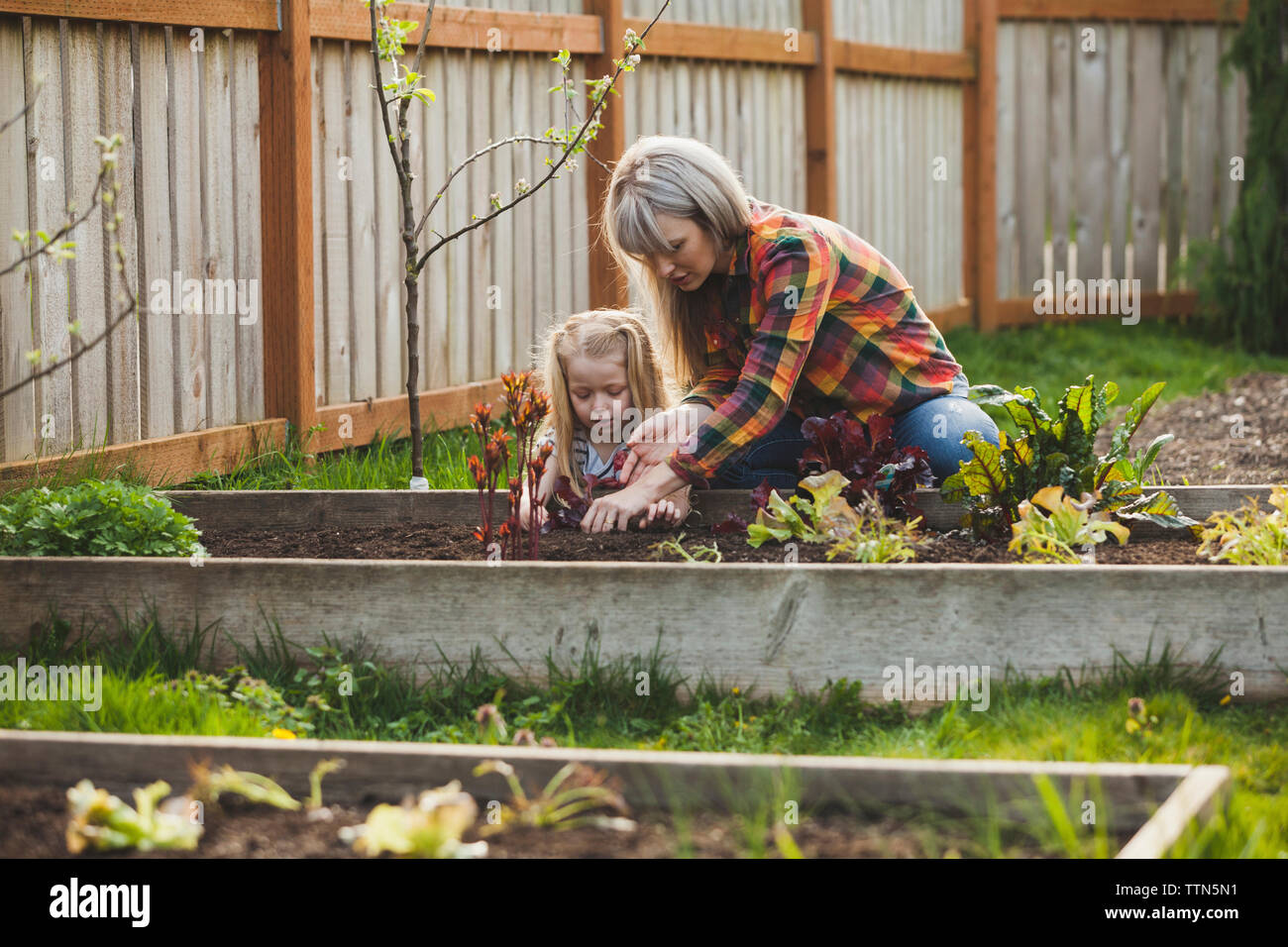 Mother and daughter planting in raised bed at backyard Stock Photo