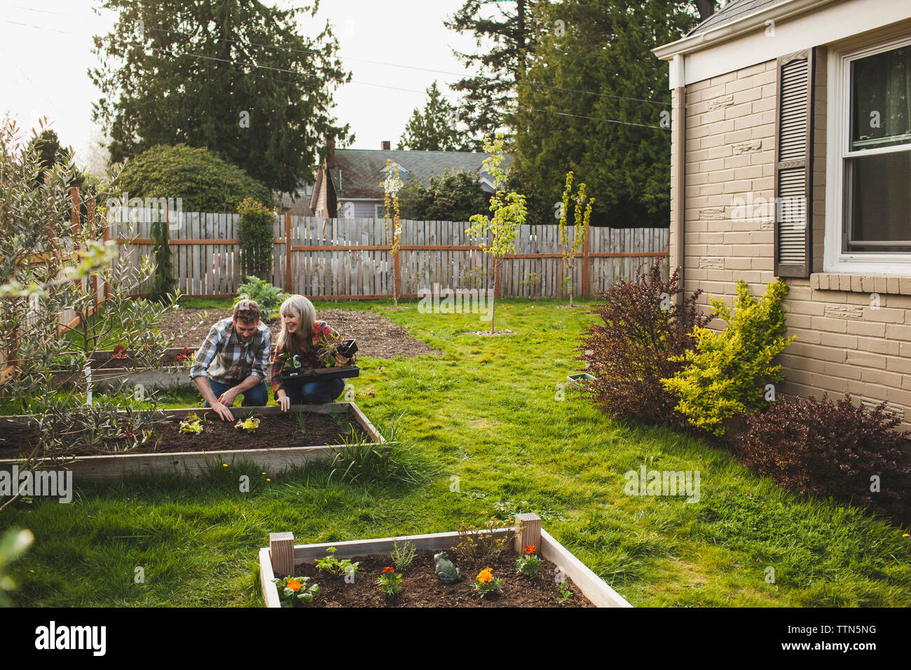 Smiling couple planting in raised bed at backyard Stock Photo