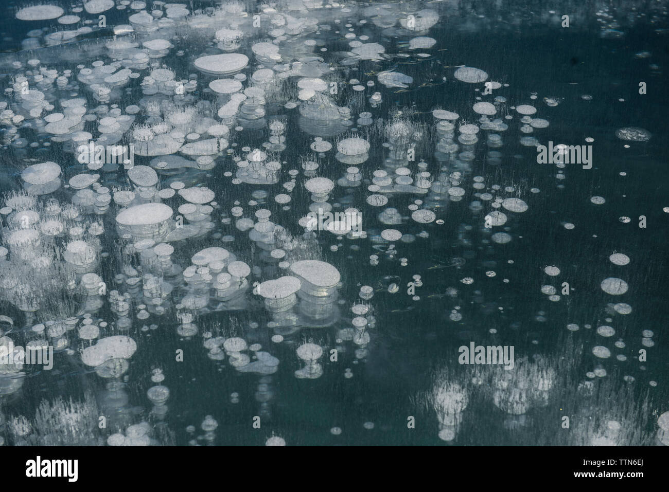 Methane gas bubbles canada hires stock photography and images Alamy