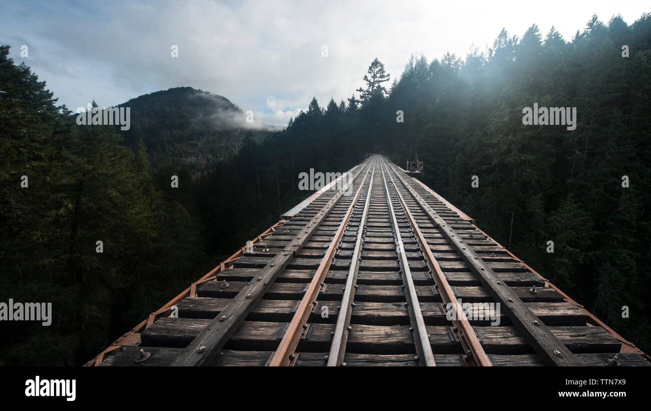 Diminishing perspective of railway bridge in forest Stock Photo