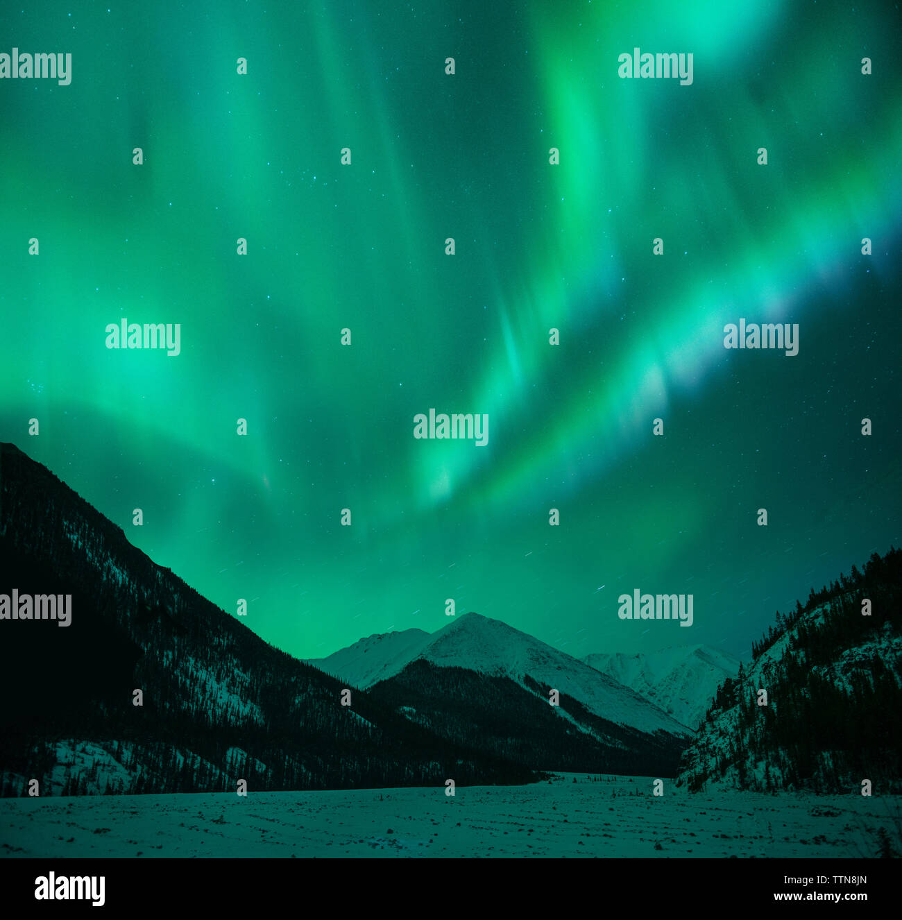 Low angle majestic view of aurora borealis over mountains during winter ...