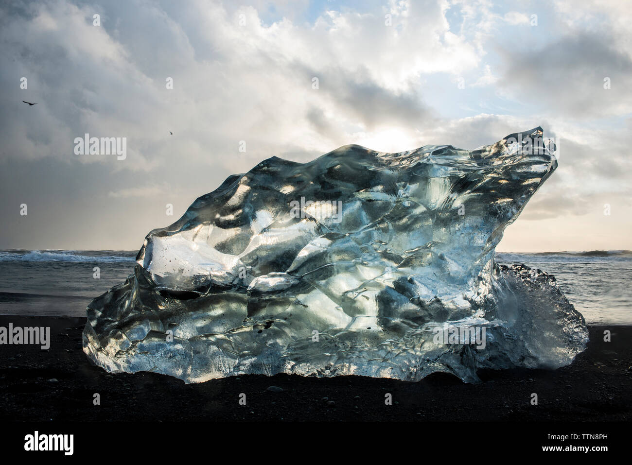 Close-up of ice crystal at beach against cloudy sky Stock Photo