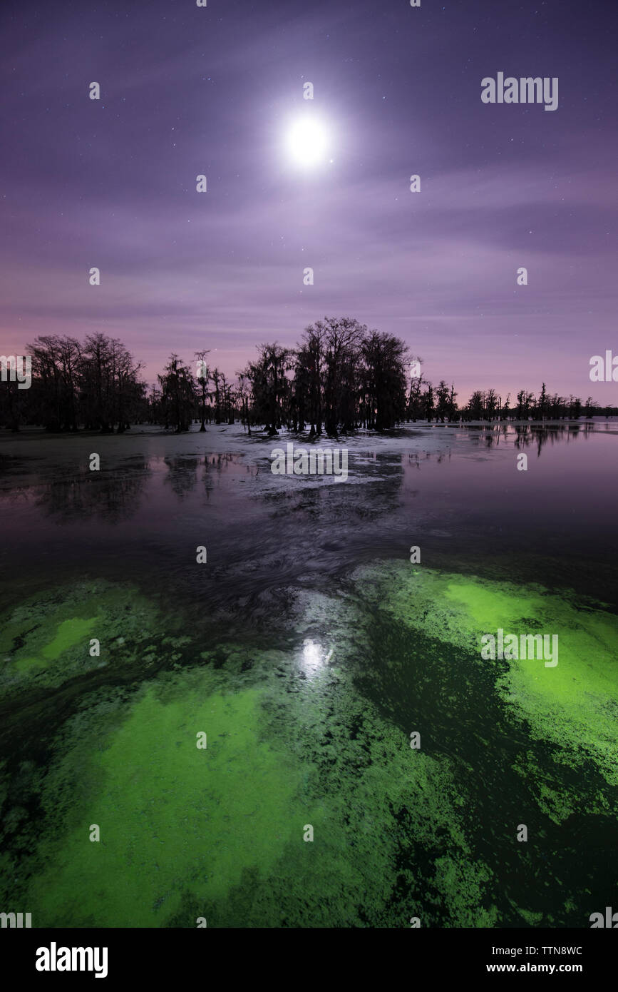 Algae in Lake Martin against sky at night Stock Photo