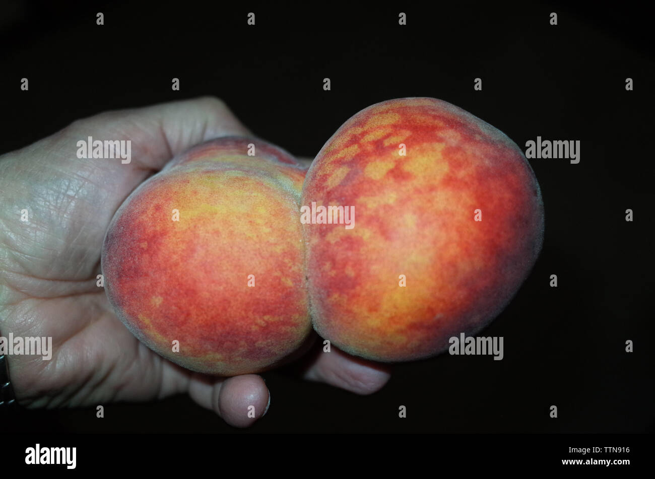 Rare twin-peaches close-up Stock Photo