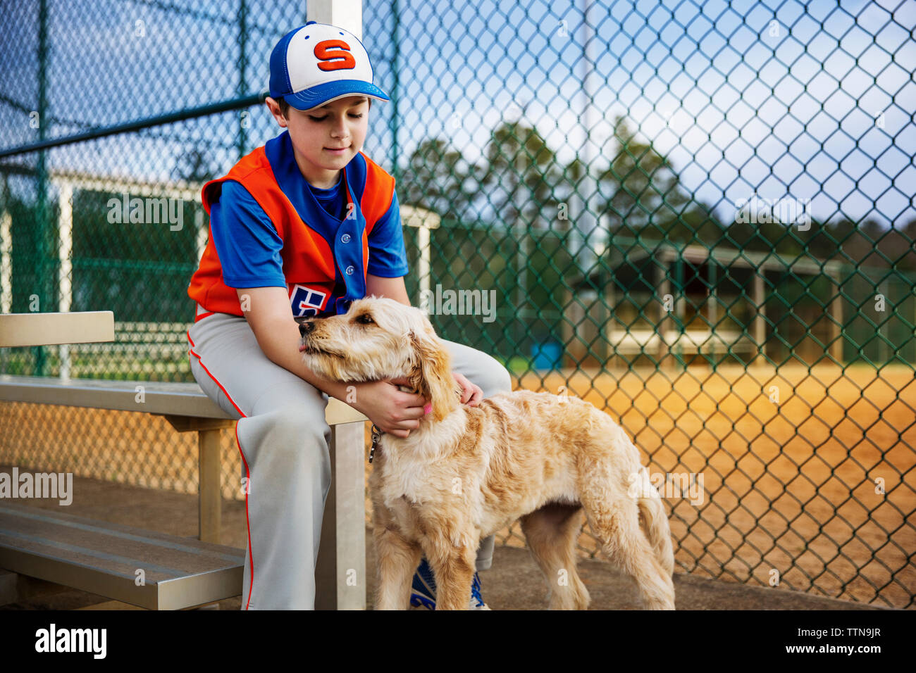 Baseball player stroking dog on field Stock Photo Alamy