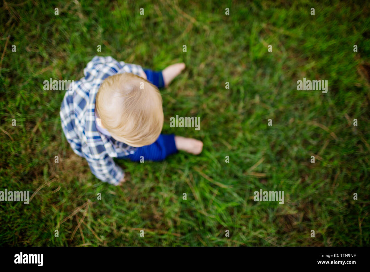 Overhead view of baby sitting on grass field at park Stock Photo