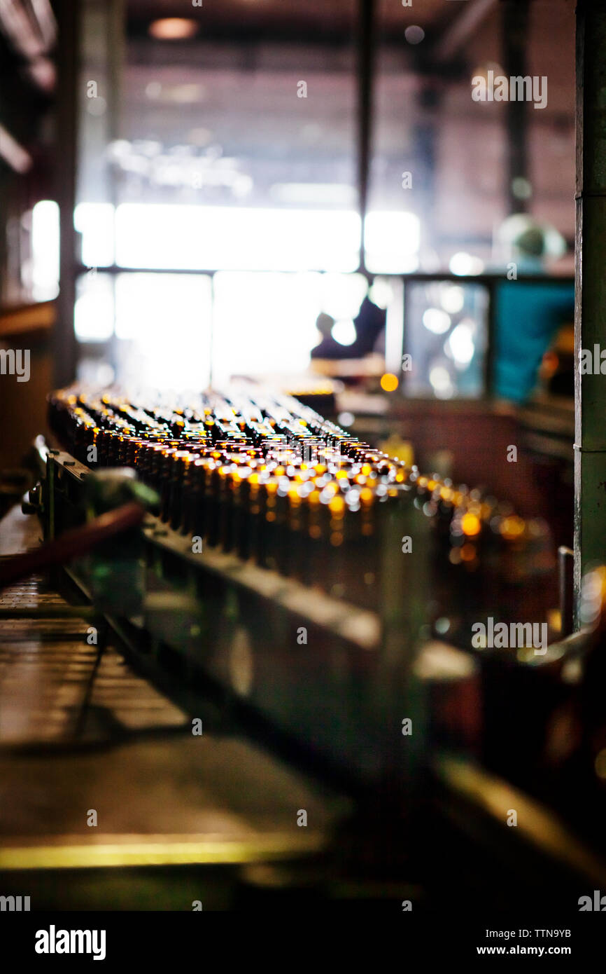 Empty bottles on production line Stock Photo