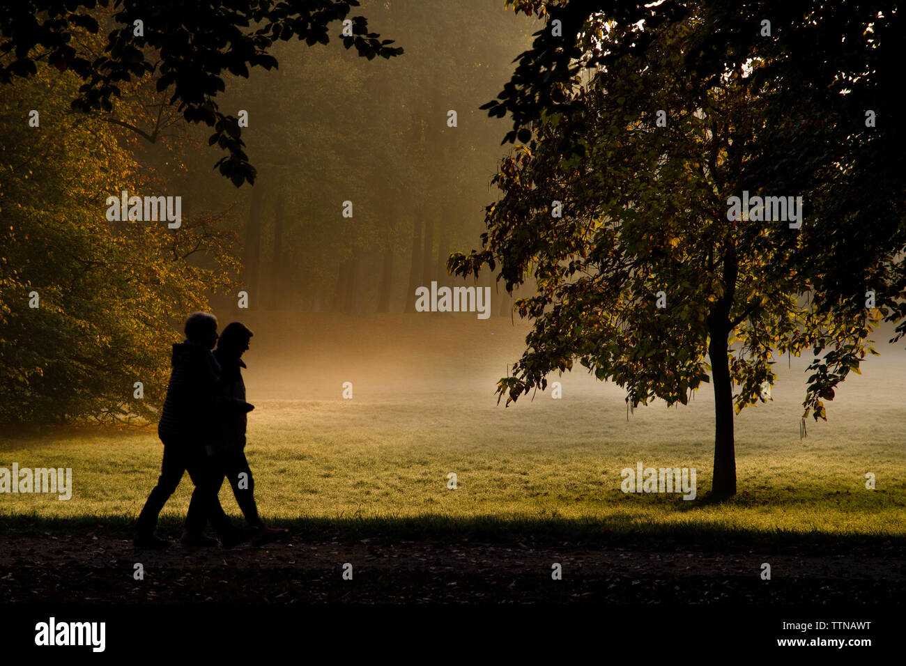 Two women walking through a park at sunrise with misty meadow and fall ...