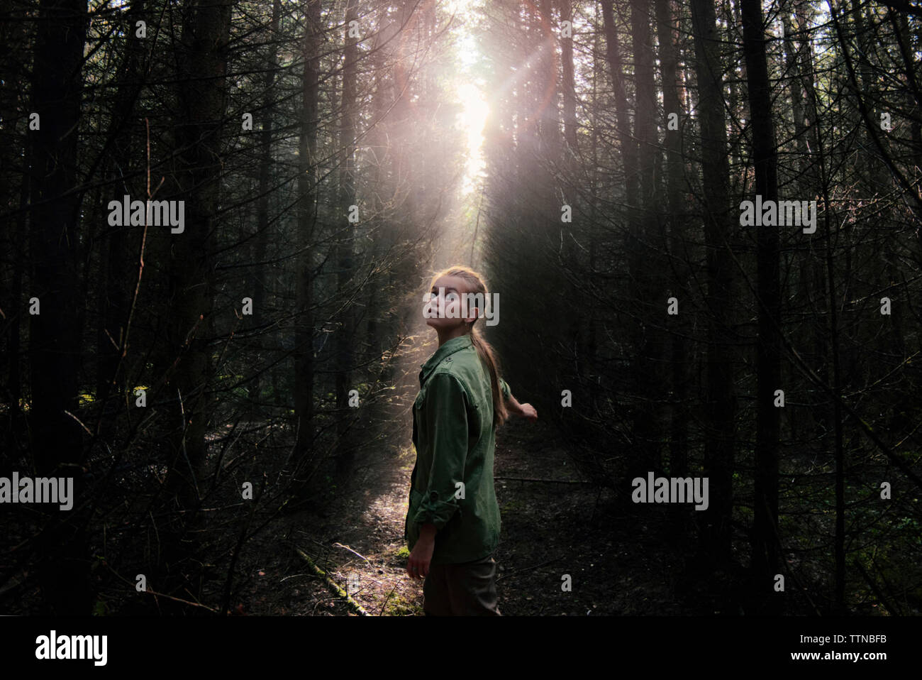 Woman forest sunlight trees hi-res stock photography and images - Alamy