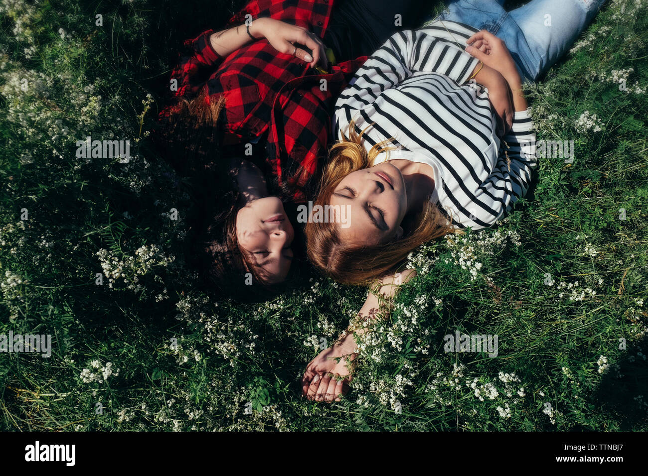 High angle view of female friends napping on grassy field Stock Photo