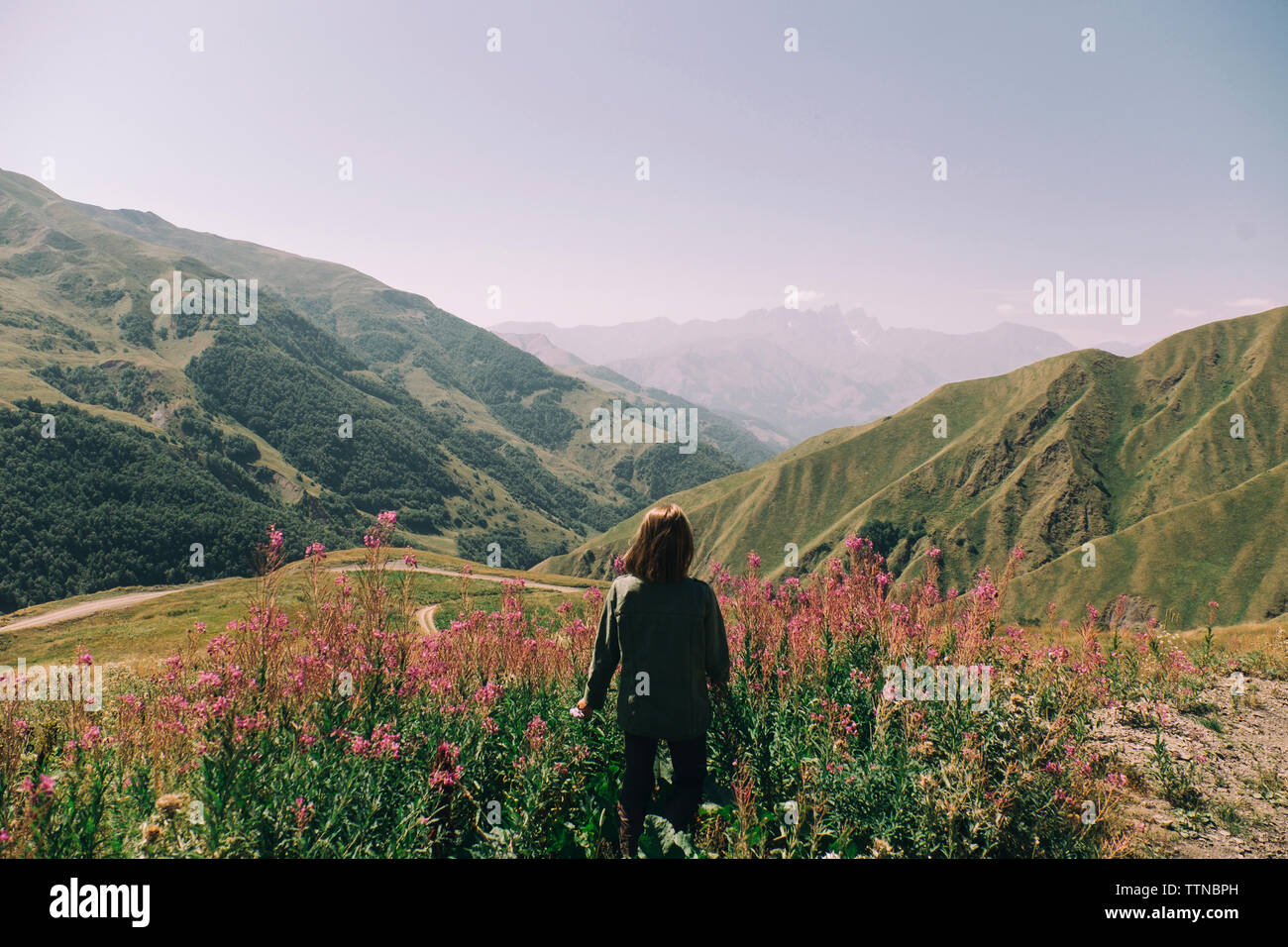 Rear view of woman looking at mountains while standing amidst plants against clear sky during sunny day Stock Photo