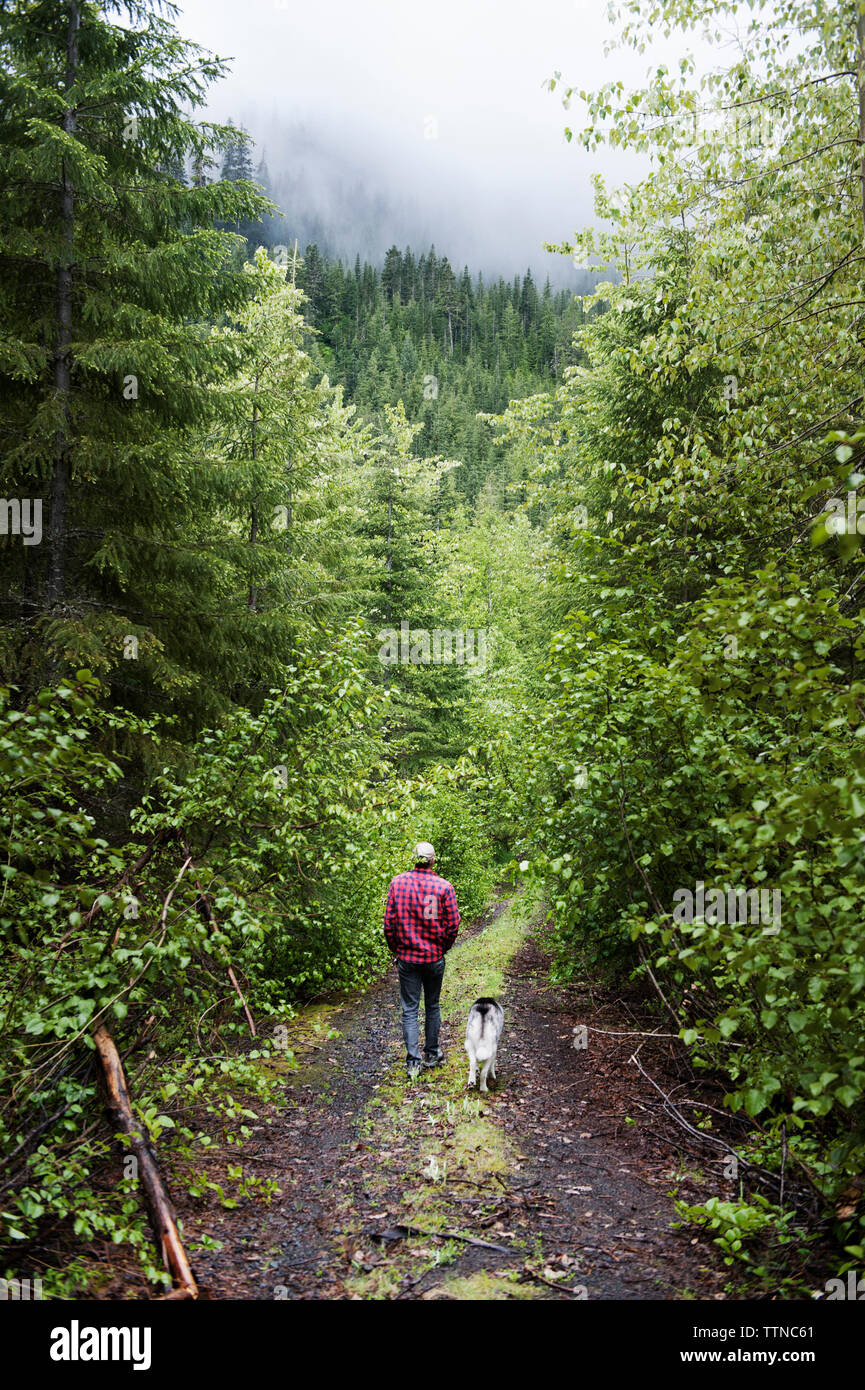 Man walking with dog in forest Stock Photo - Alamy