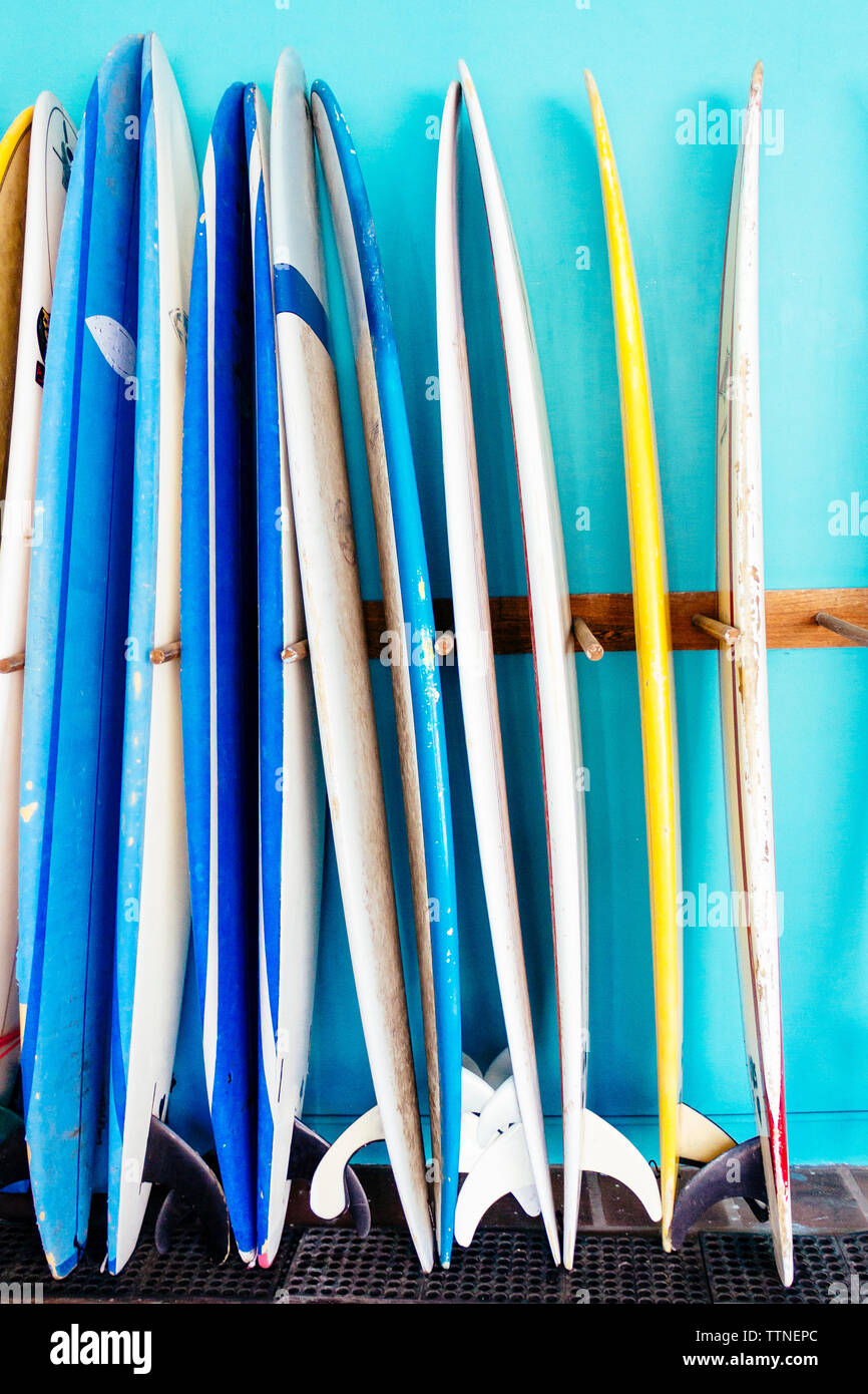Rack of surfboards in shop Stock Photo