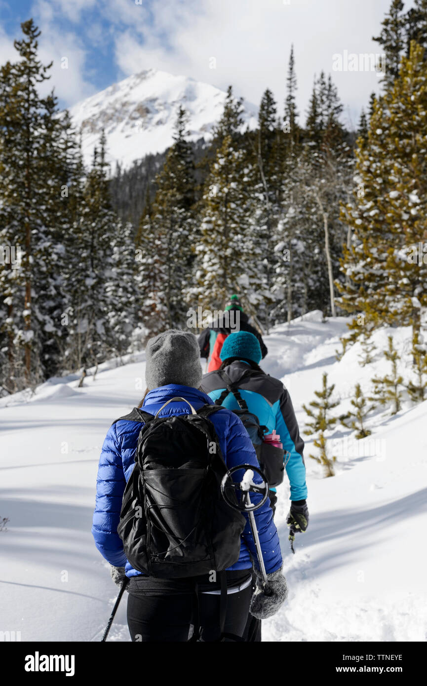 Hiking hikers people forest hi-res stock photography and images - Alamy