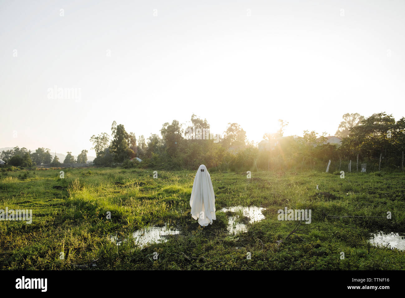 Man in ghost costume standing on grassy field against clear sky during sunset Stock Photo