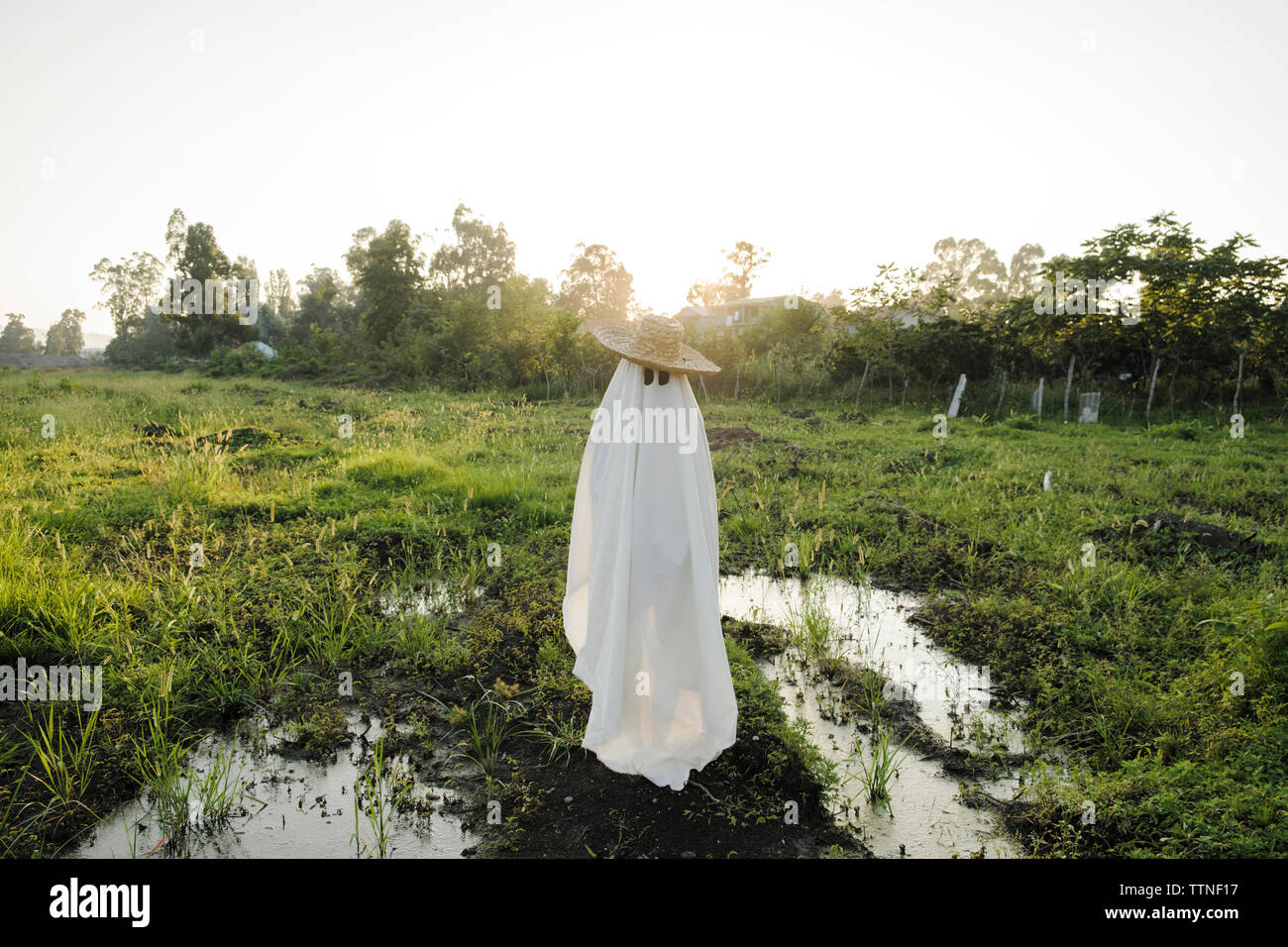 Man in ghost costume wearing hat while standing on grassy field against clear sky during sunset Stock Photo