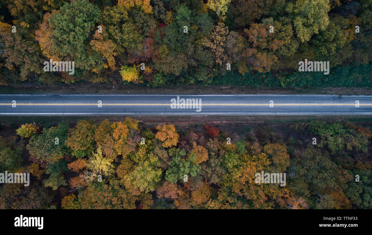 Aerial view of road amidst trees in forest during autumn Stock Photo ...