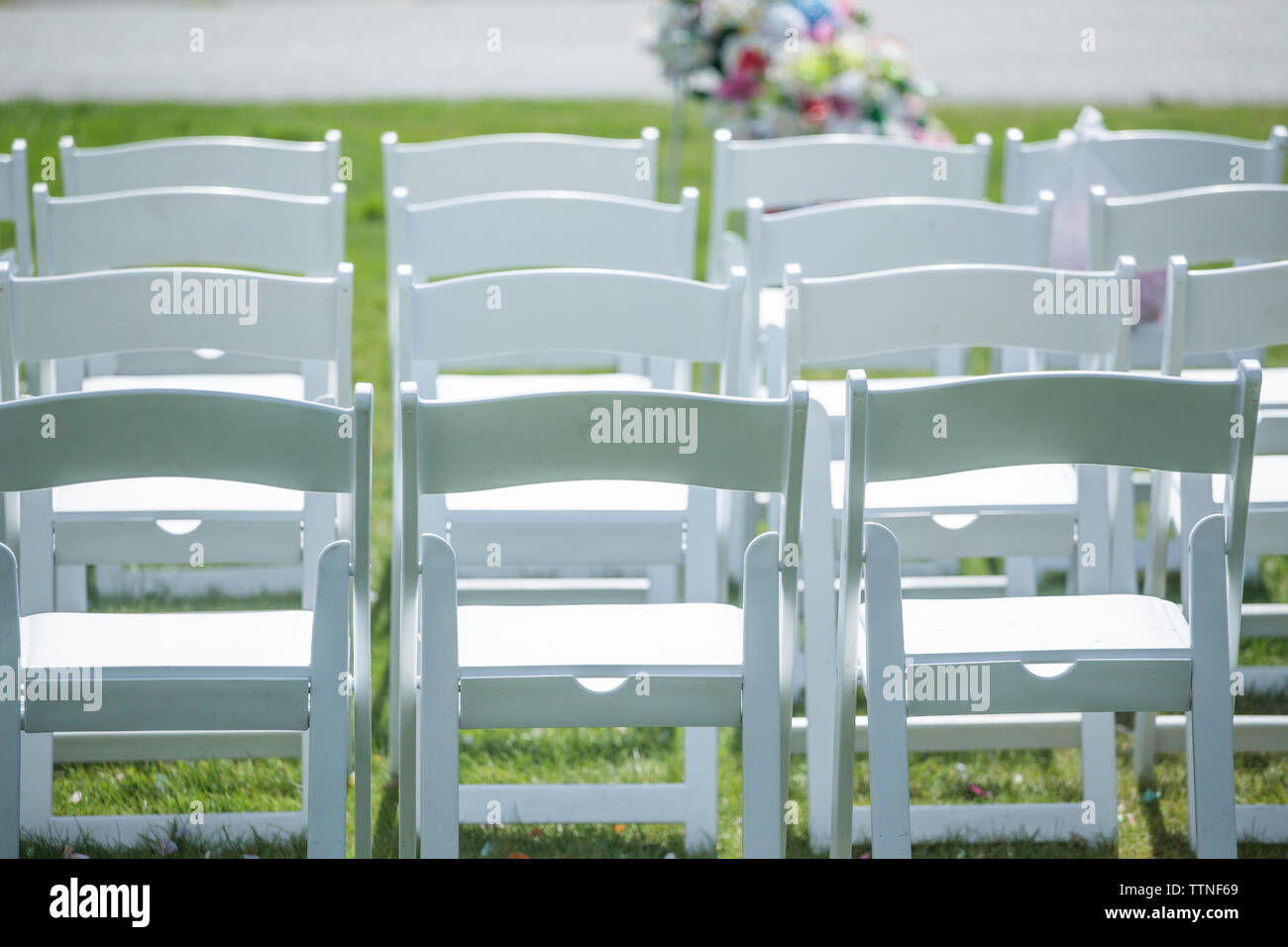 Chairs at Wedding Ceremony Stock Photo Alamy