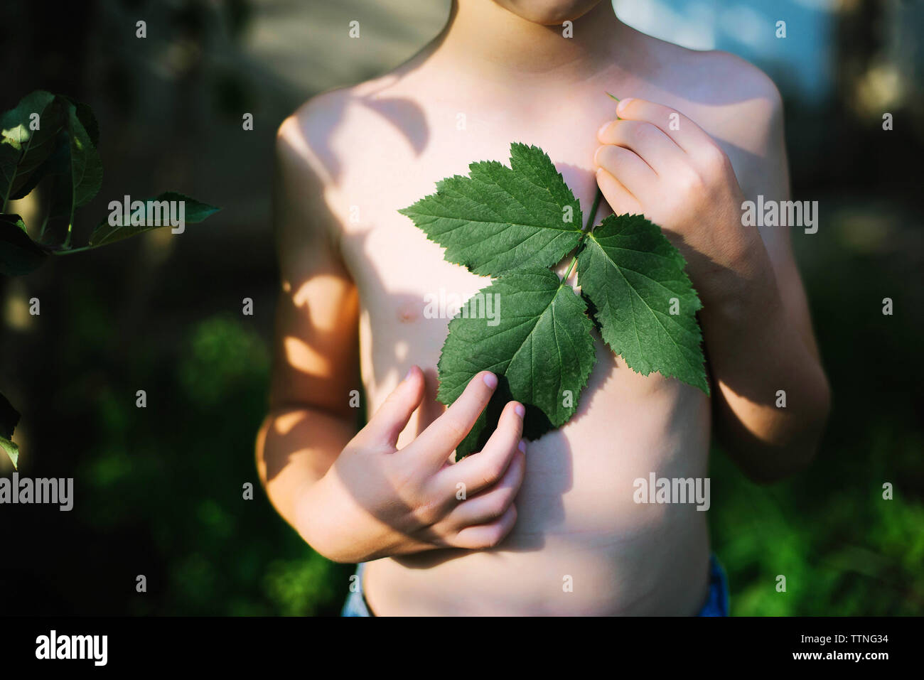 Little boy with green leaves in his hands on sunset Stock Photo