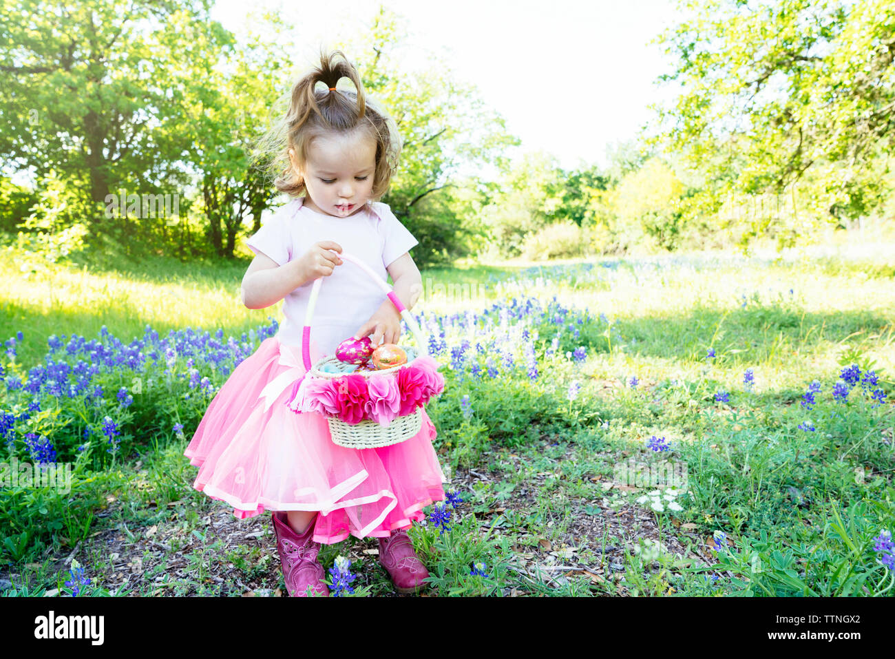 looking for easter eggs