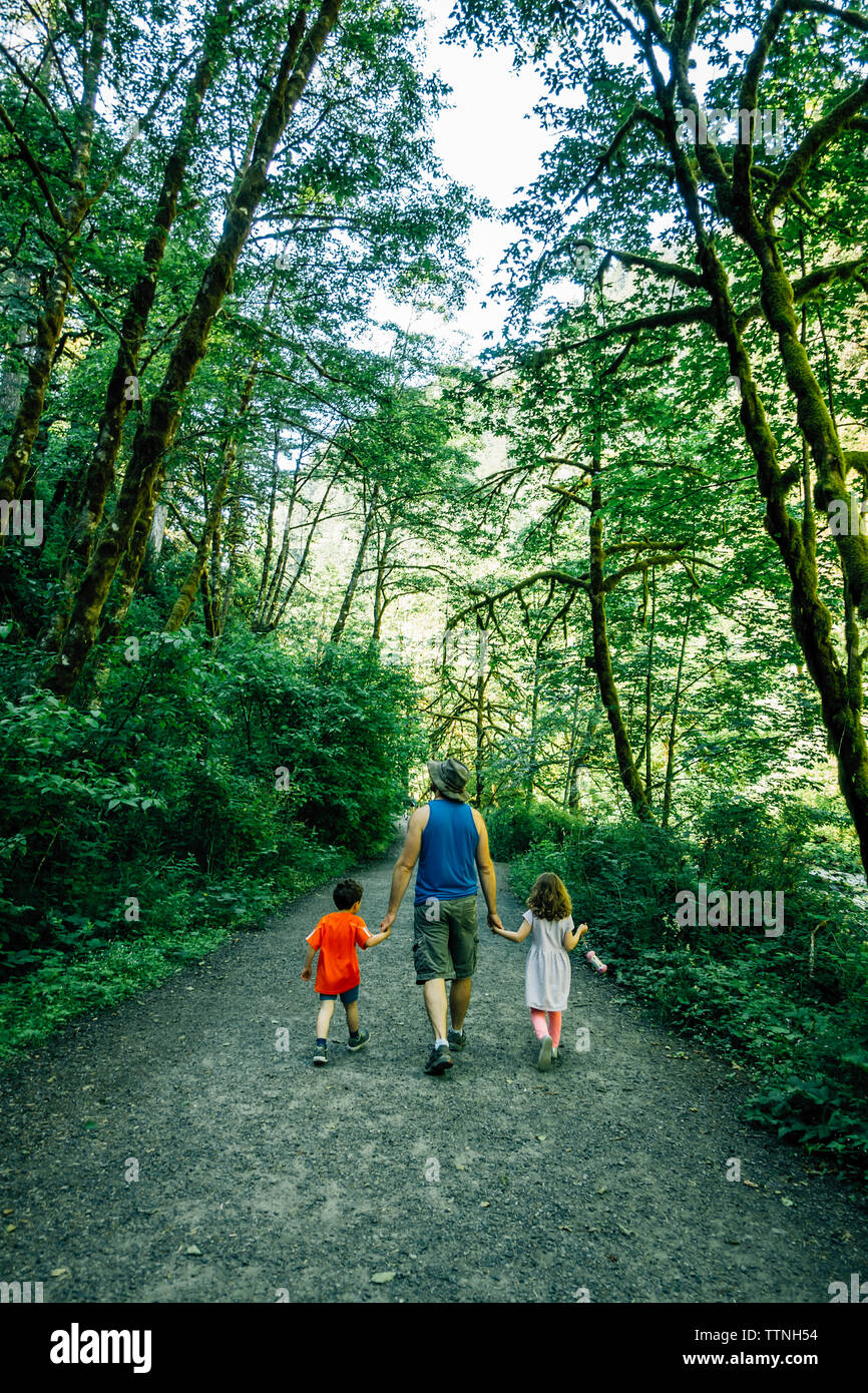 Rear view of father holding children's hands while walking amidst forest Stock Photo