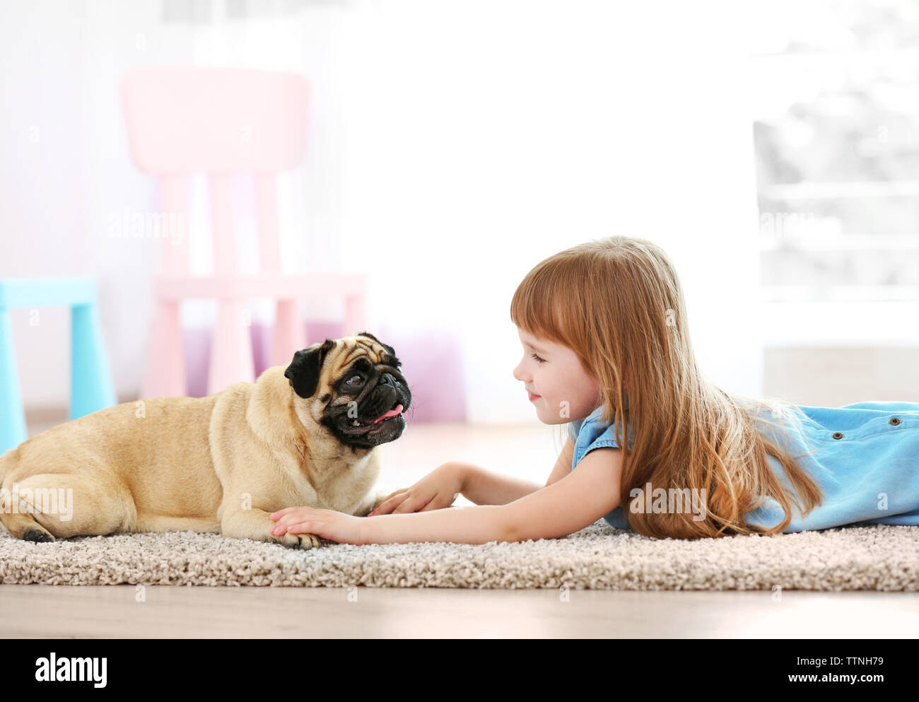 Cute girl playing with dog on carpet Stock Photo