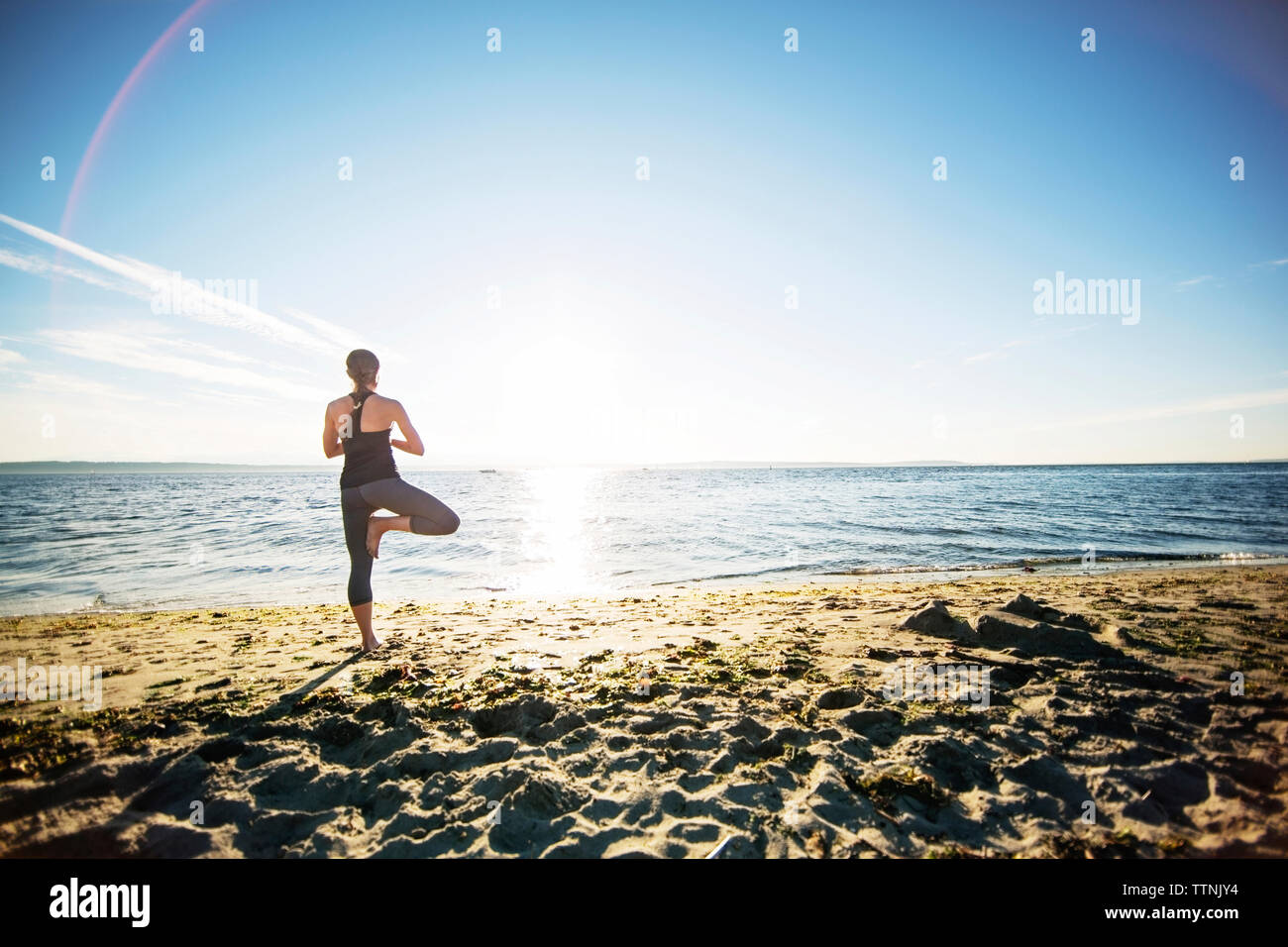 Rear view of woman standing in tree pose at beach during sunny day ...