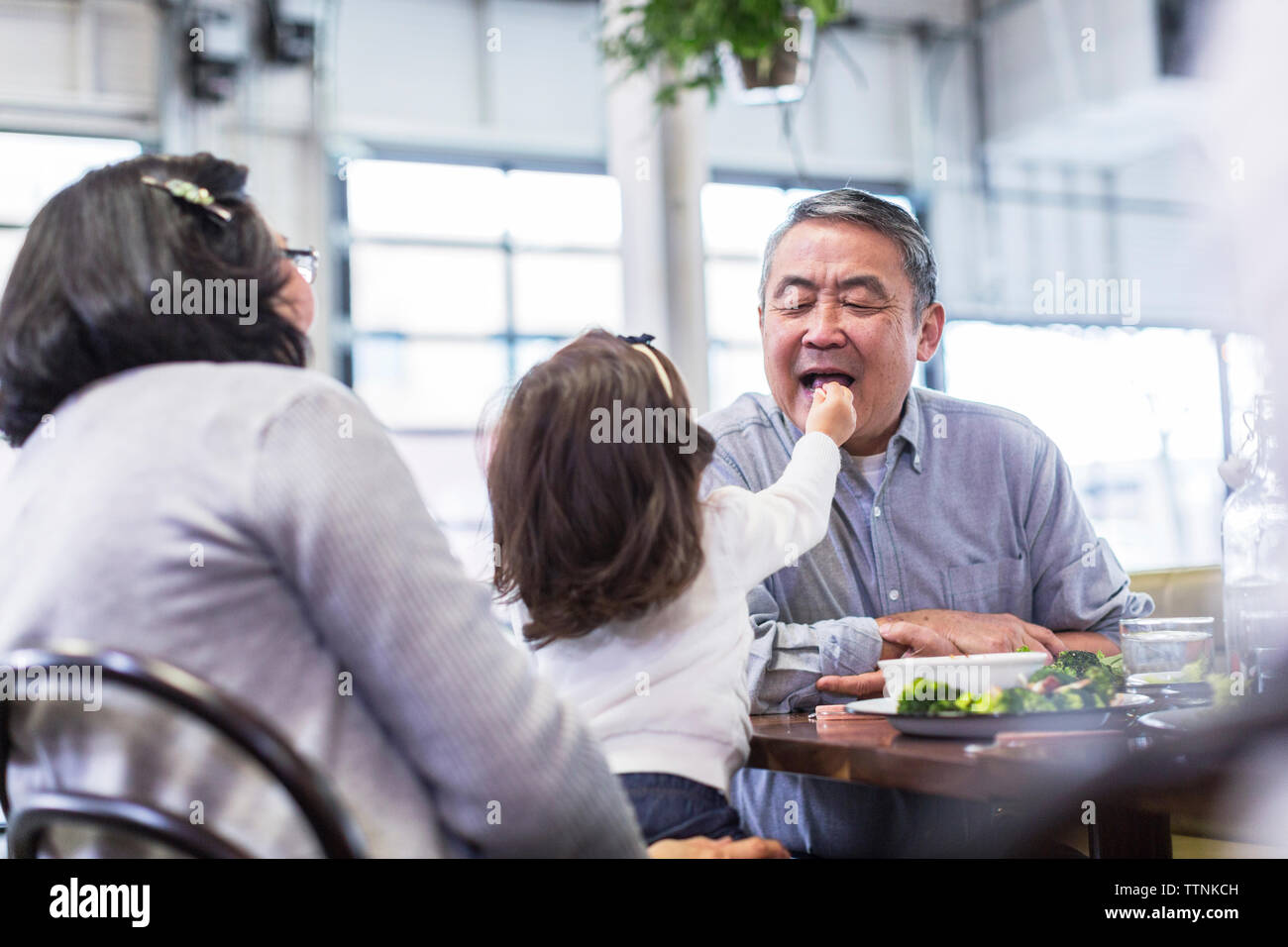 Girl feeding grandfather while sitting with grandmother at table in restaurant Stock Photo