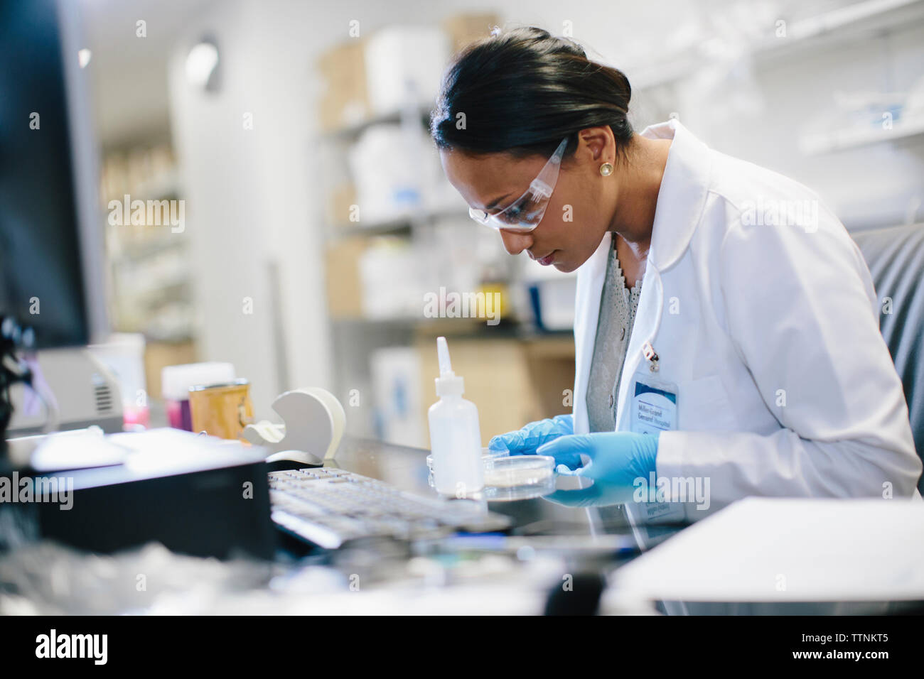 Female doctor examining petri dish at desk in medical room Stock Photo