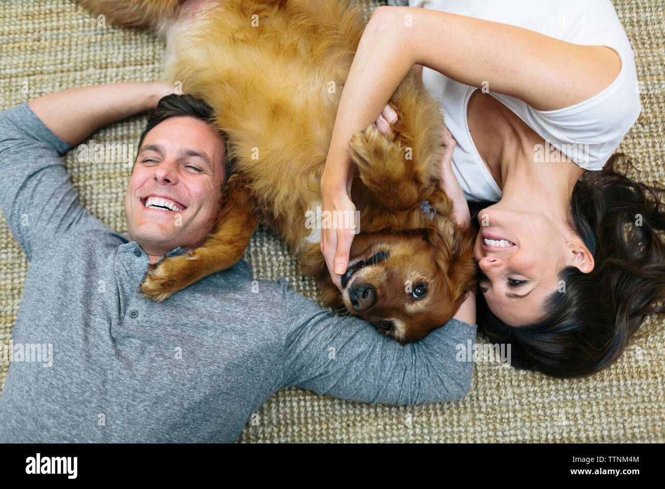 Overhead view of couple with dog lying on carpet at home Stock Photo