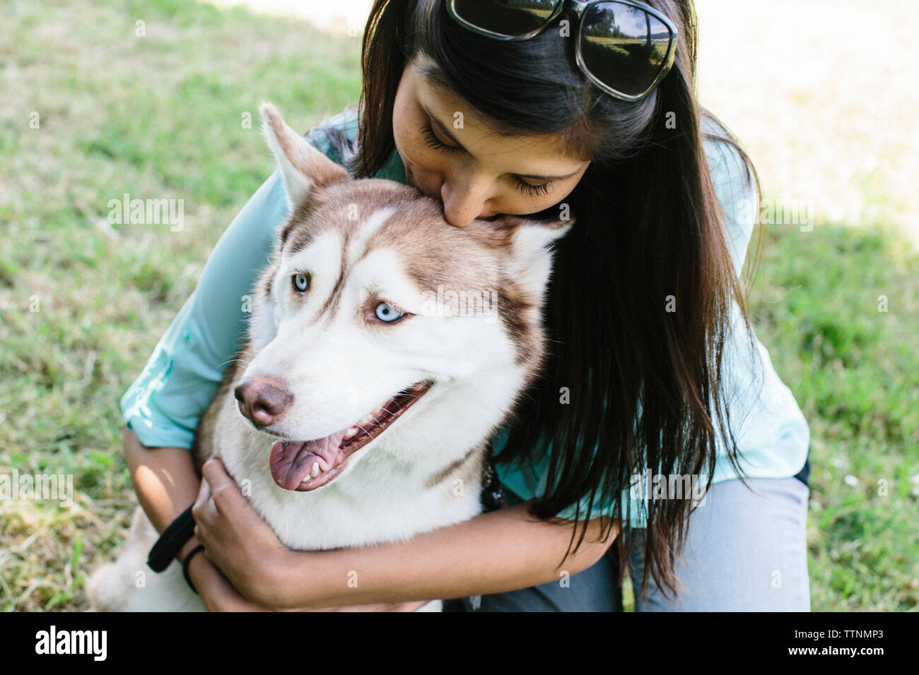 Woman petting dog in park hires stock photography and images