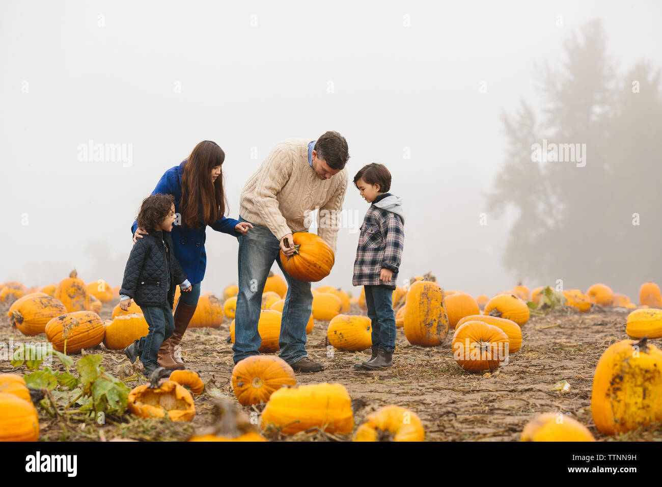 Parents with children examining pumpkins at farm during foggy weather Stock Photo