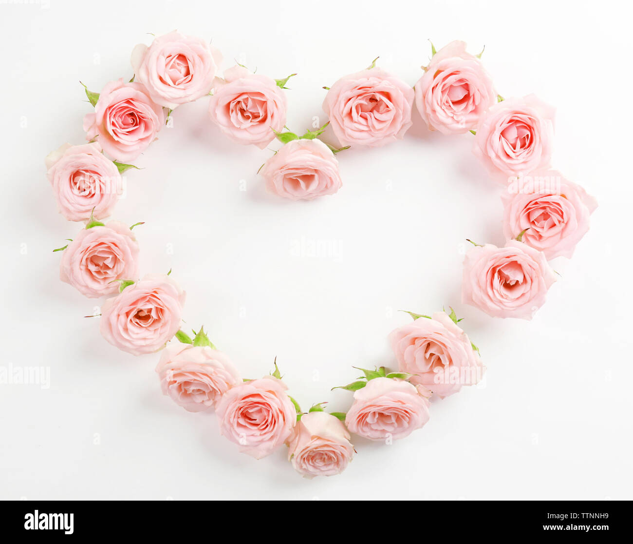 Heart shaped roses on white background Stock Photo - Alamy