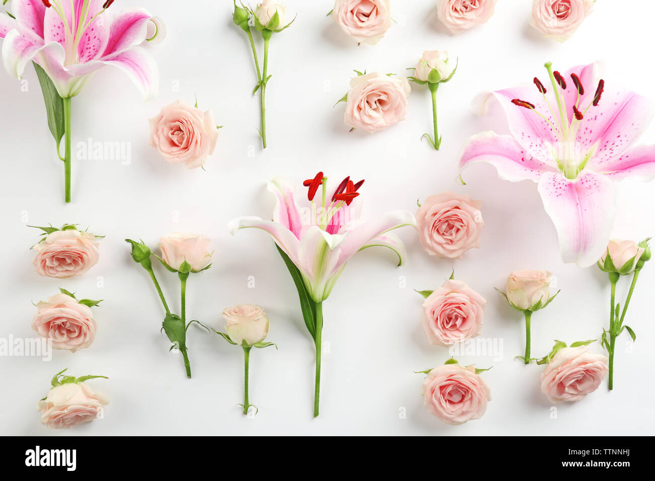 Fresh roses on white background Stock Photo - Alamy