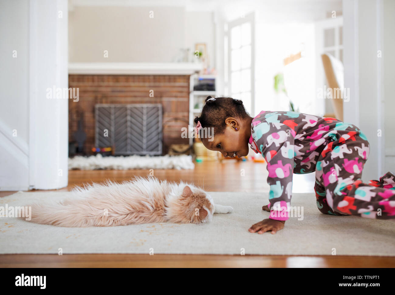 Side view of curious girl looking at cat lying on rug in living room Stock Photo