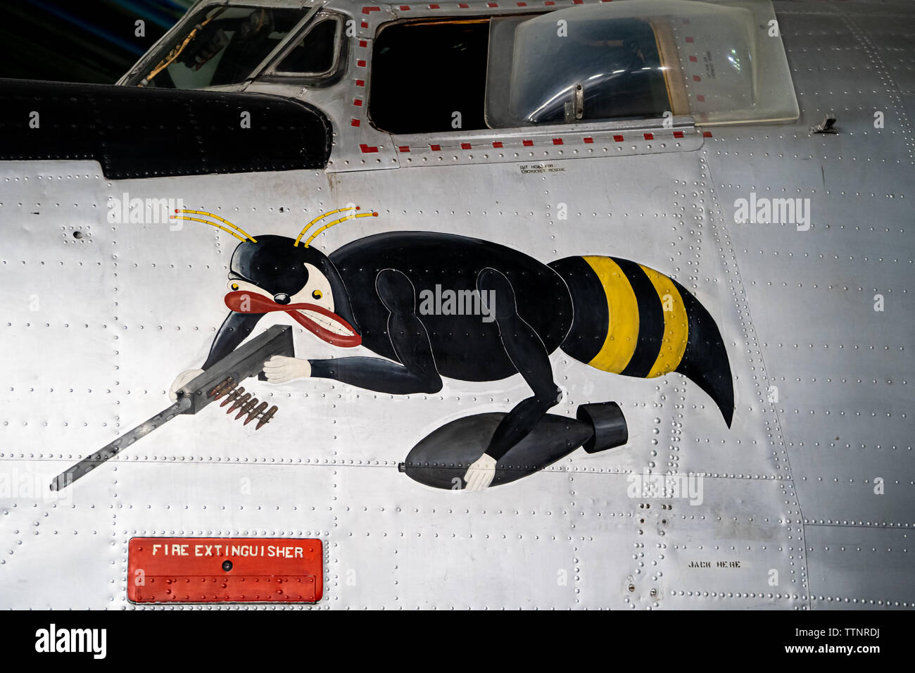 Close-up of wasp nose art on Consolidated B24L-20-FO Liberator, RAF museum, London Stock Photo
