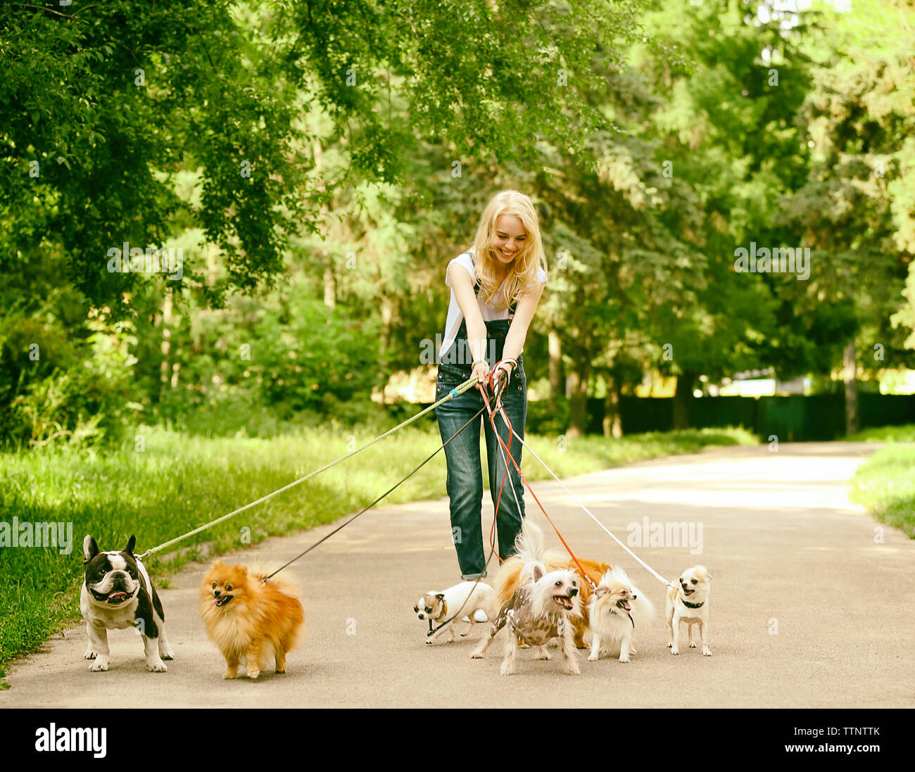 Chinese woman walking with a pet dog hi-res stock photography and ...