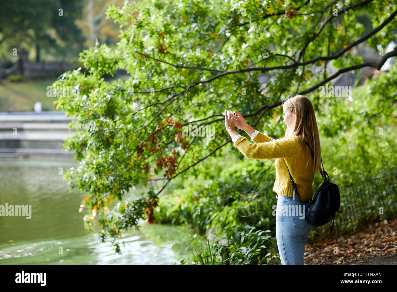 Side view of woman photographing lake through smart phone while standing at park Stock Photo