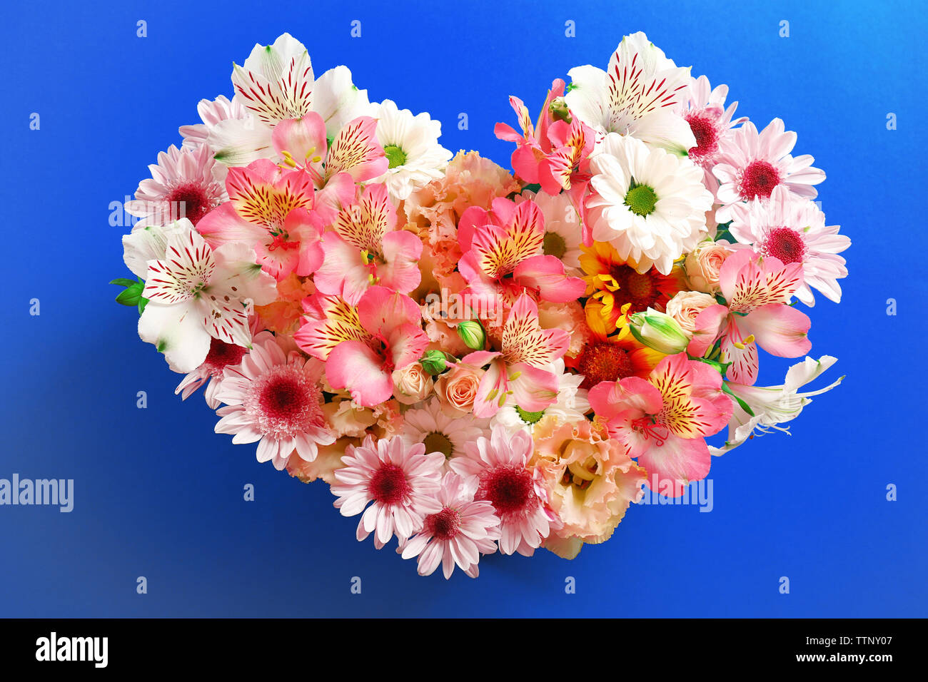 Composition of beautiful flowers in a heart shape on blue background ...