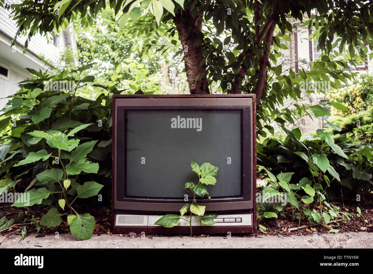 Old television by plants on field Stock Photo