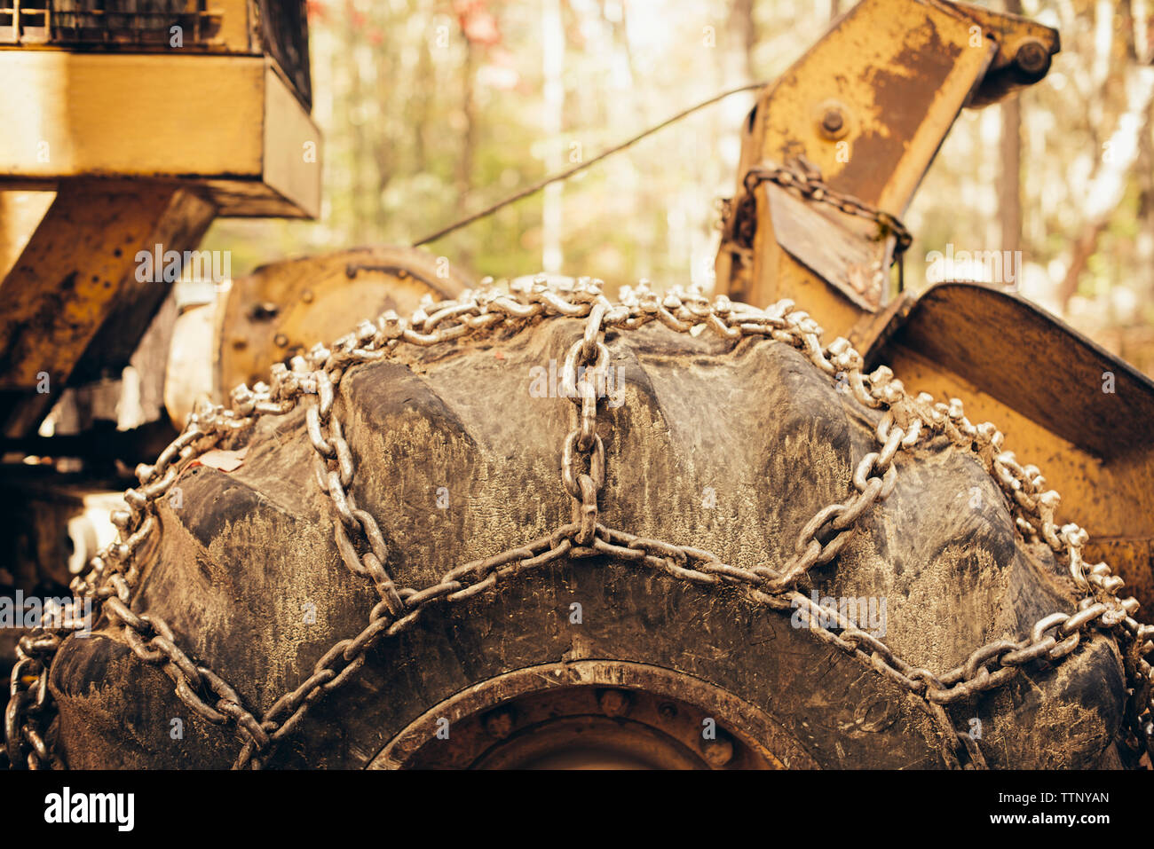 Close-up of chain tied to construction vehicle in forest Stock Photo