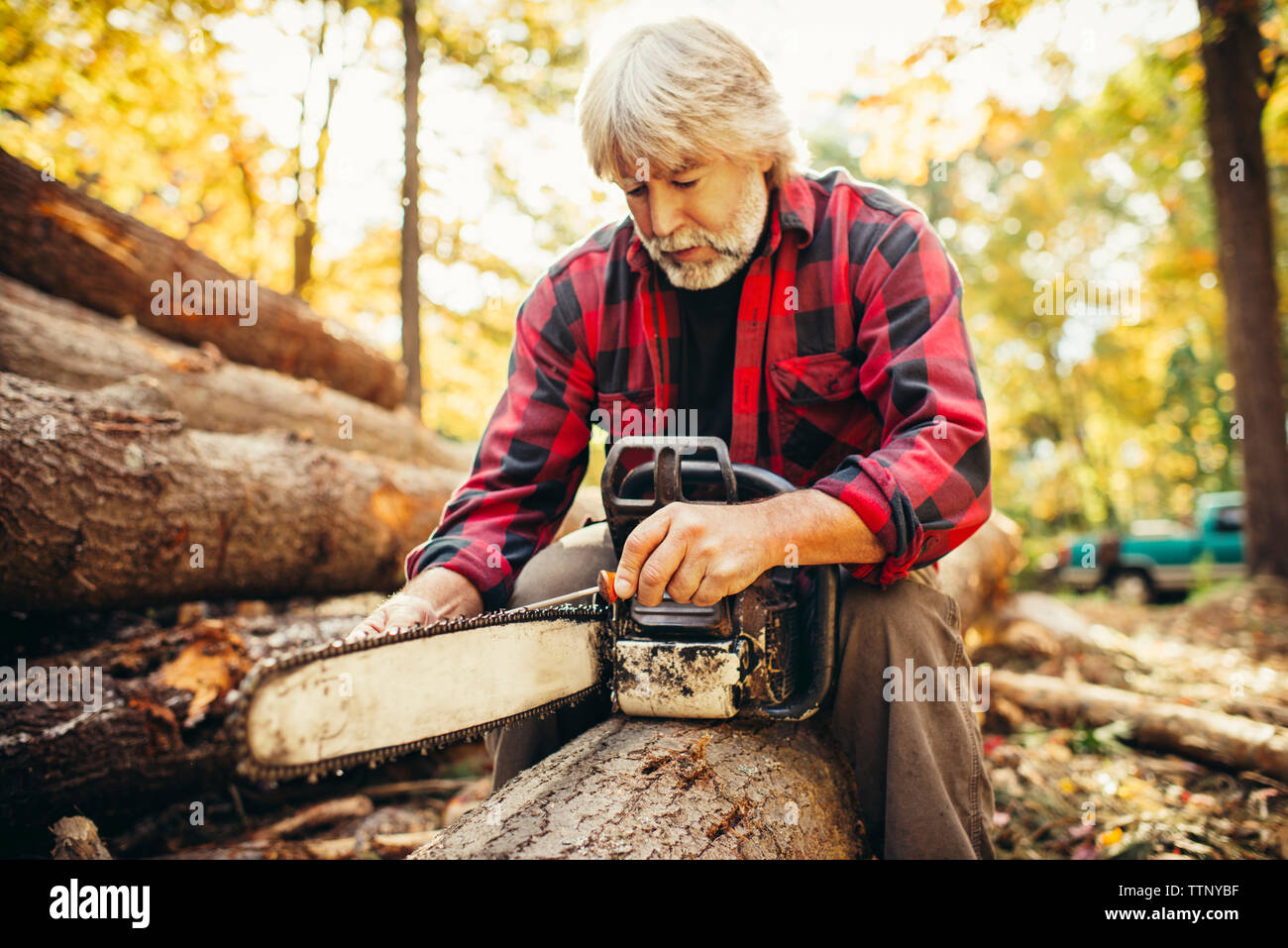 Male lumberjack examining chainsaw while sitting on log in forest Stock Photo