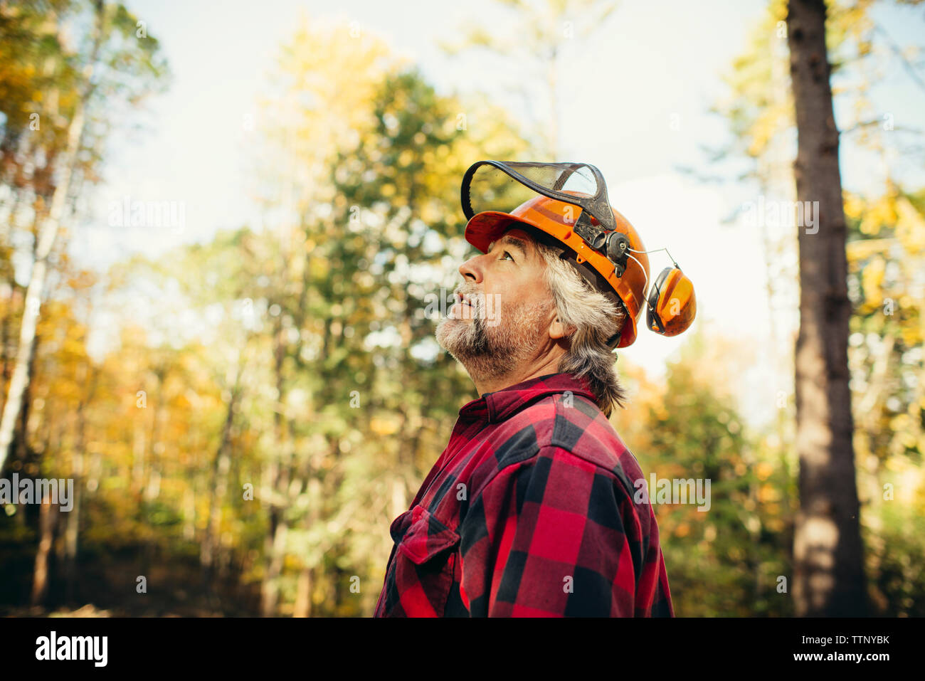 Side view of lumberjack looking away in forest Stock Photo