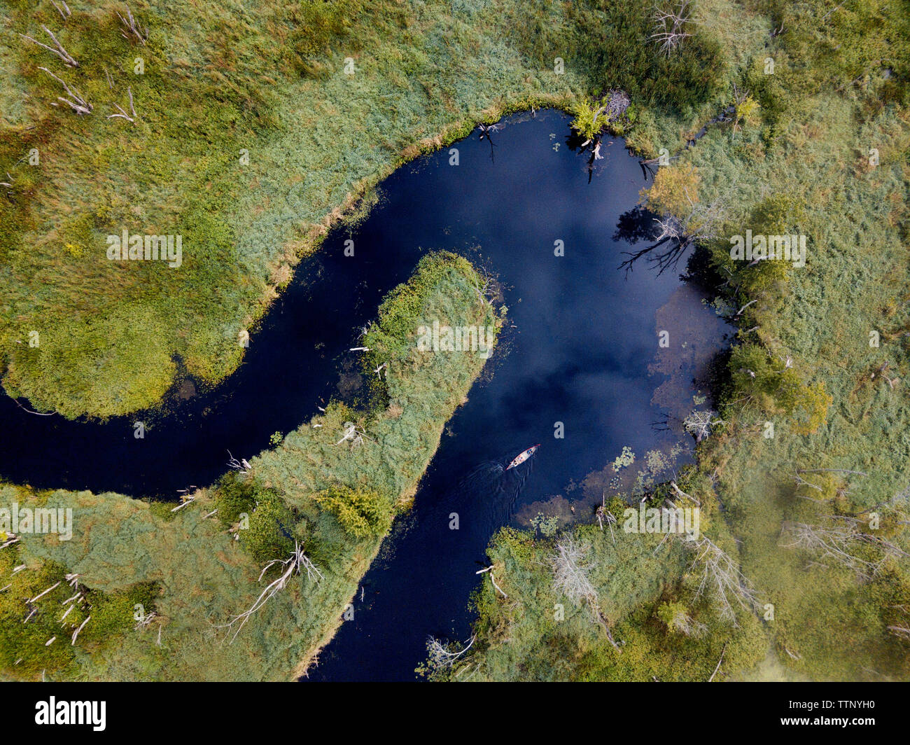 Aerial view of river amidst green landscape Stock Photo - Alamy