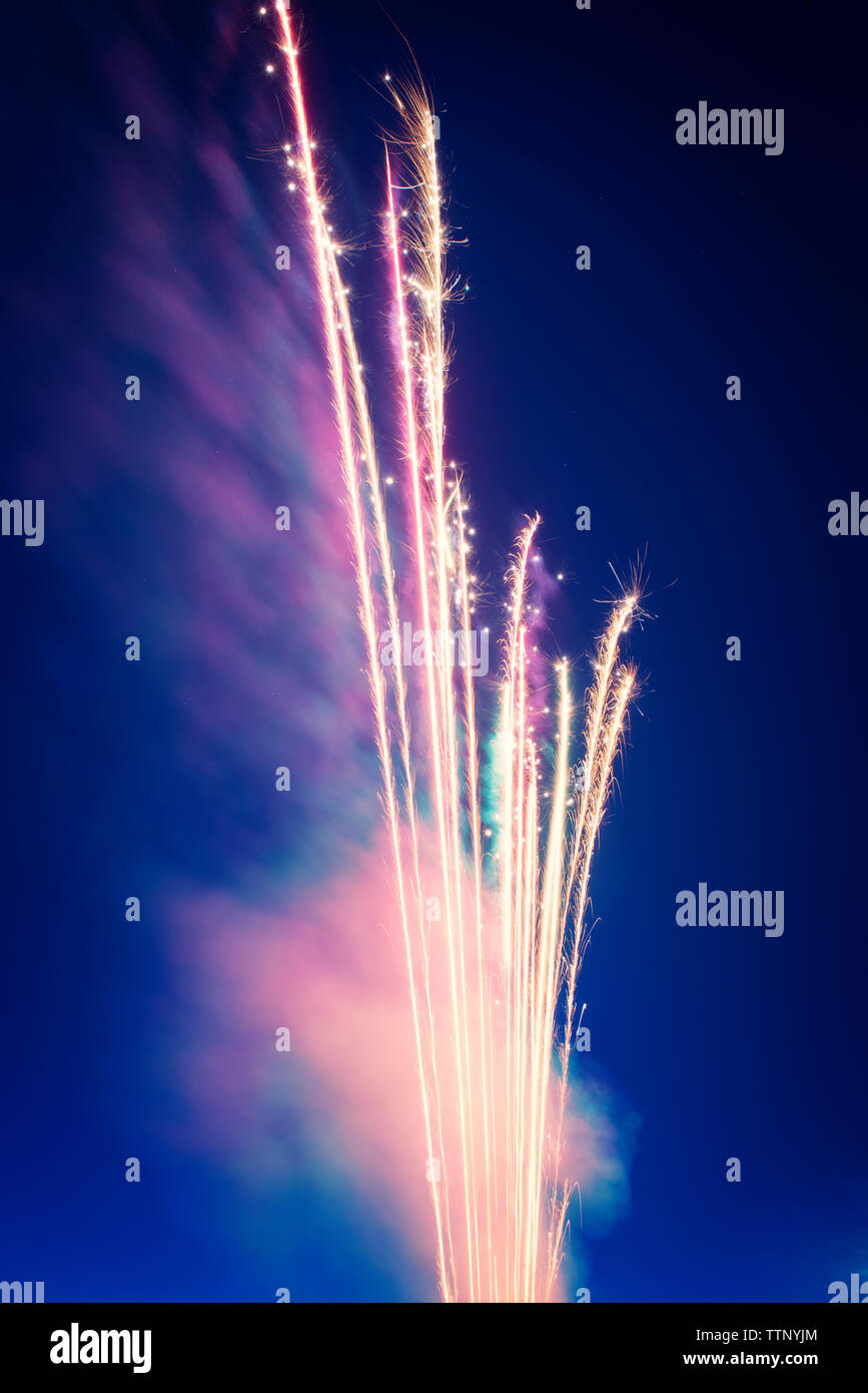 Low angle view of firework display against sky at night Stock Photo