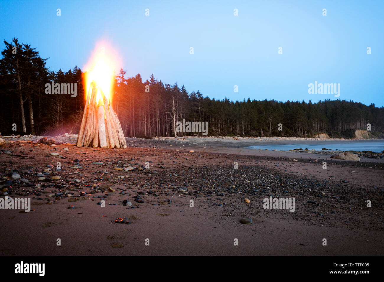 Bonfire at seashore against clear sky Stock Photo