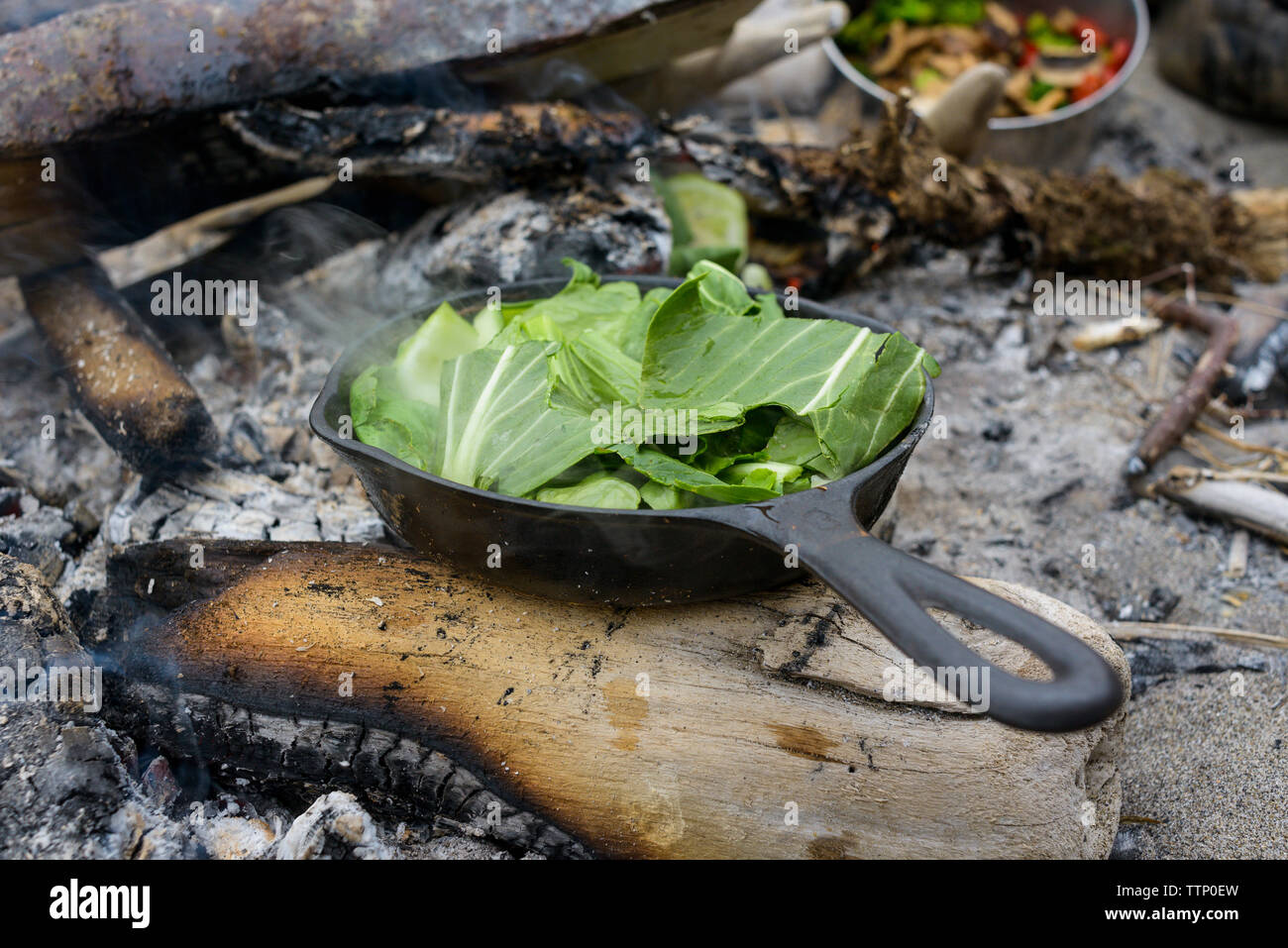Cabbage in cooking utensil at campsite Stock Photo