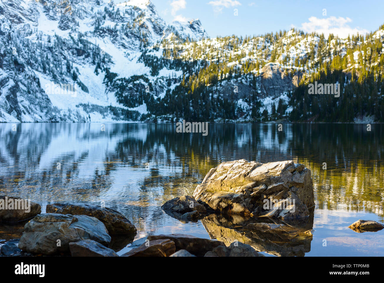 Scenic view of calm lake against snowcapped mountain in forest Stock Photo
